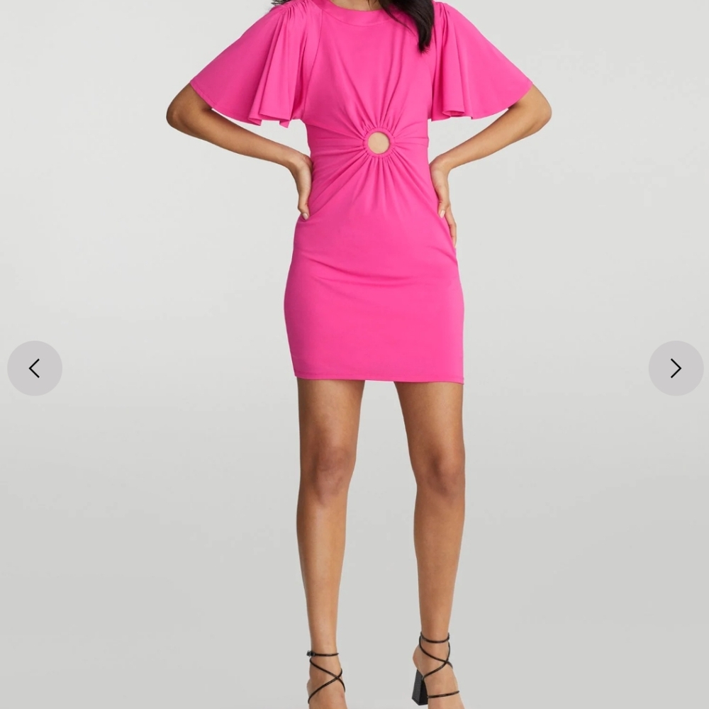 Women NY Company Pink Dress
